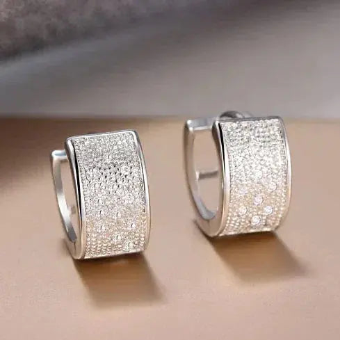 Orecchini eleganti e lucidi in argento