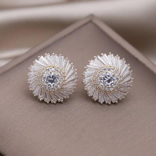 Orecchini a Spirale Eleganti e Splendenti