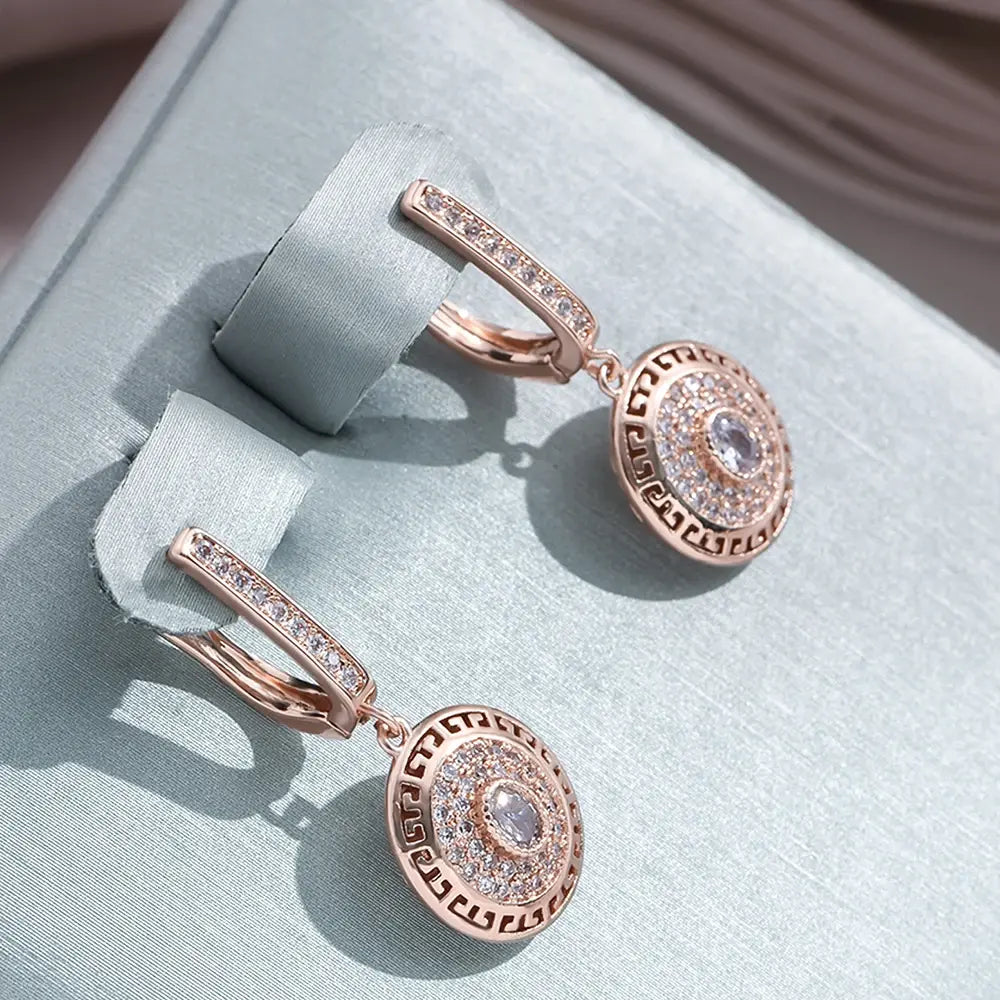 Orecchini eleganti luminosi rotondi con zirconia