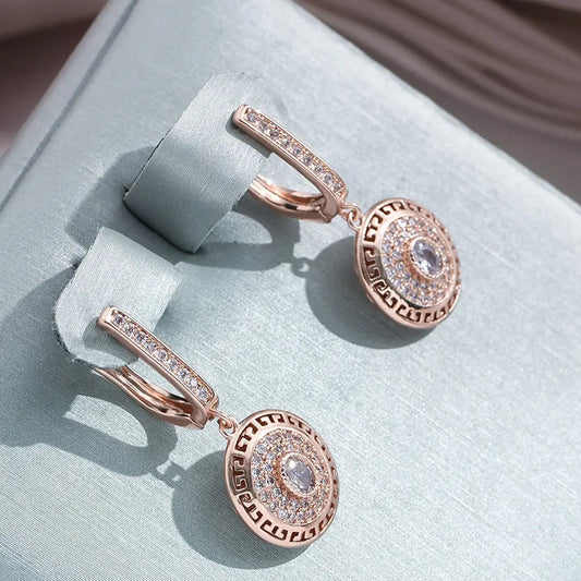 Orecchini eleganti luminosi rotondi con zirconia